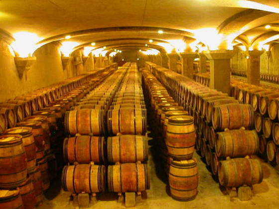 Barrels at Margaux 2.jpg